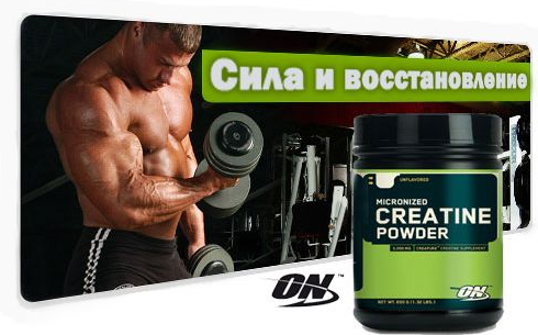 Micronized Creatine Powder 1200 грамм Micronized Creatine Powder 1200 грамм